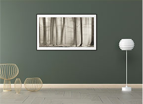 巧妙用色，讓你的家輕松高級(jí)幾倍